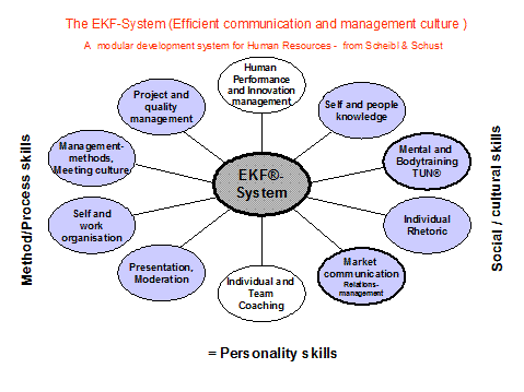 The modular development system